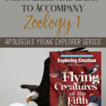 FREE Printables To Accompany Apologia S Zoology 1 Flying Creatures