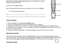 Frog Dissection Lab Worksheet Answer Key And 36 Earthworm Anatomy