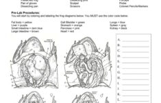 Frog Dissection Worksheet