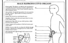 From Fiction To Fact 1986 At MUM