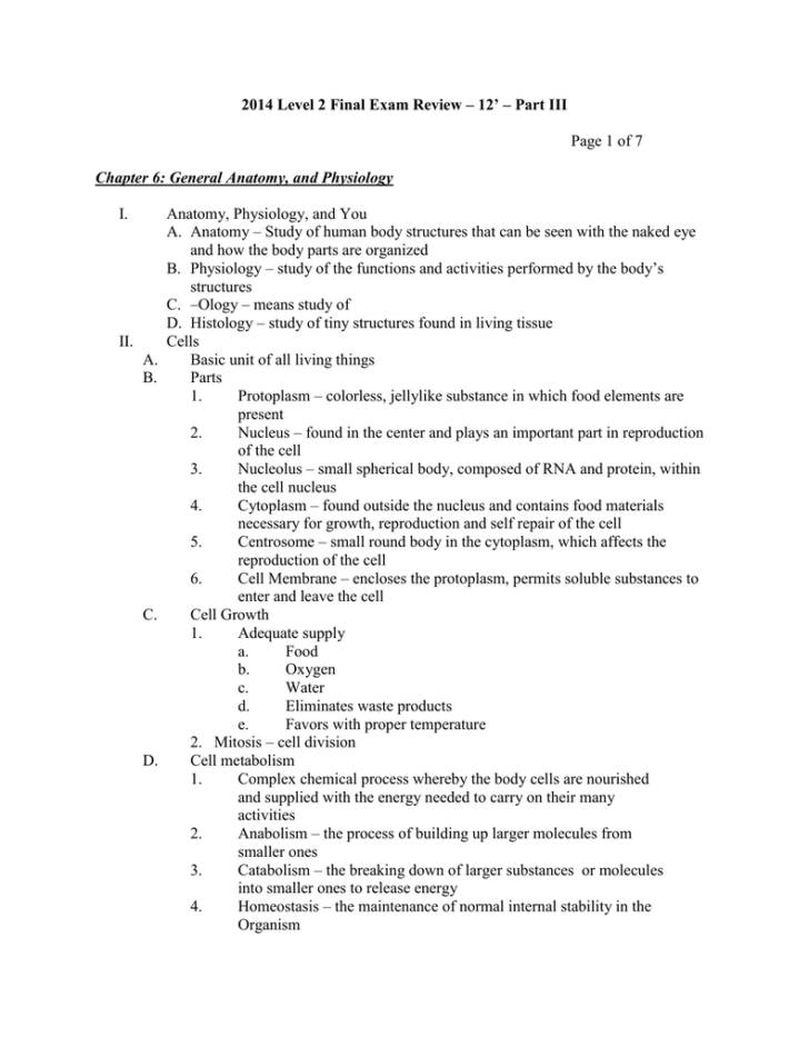 Anatomy And Physiology Chapter 6 Worksheet Answers