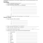 Grasshopper Pre Lab Worksheet