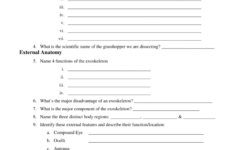 Grasshopper Pre lab Worksheet