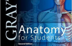 Gray s Anatomy For Students 2009 CHM Greys Anatomy Book Anatomy