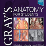 Gray S Anatomy For Students 4th Edition PDF Download Free Medical