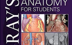 Gray s Anatomy For Students 4th Edition PDF Download Free Medical