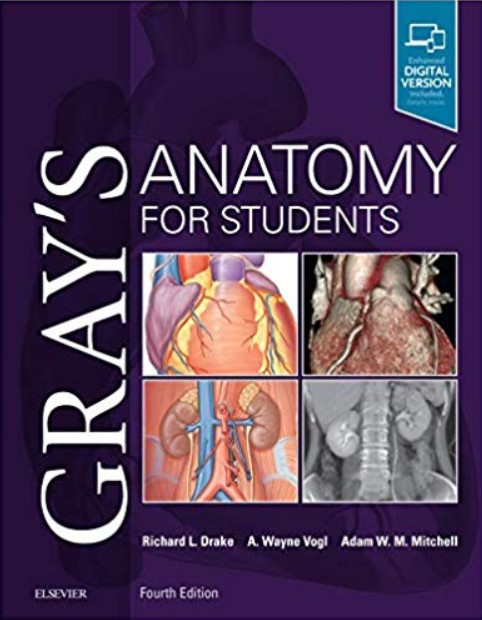 Gray s Anatomy For Students 4th Edition PDF Download Free Medical 