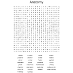 Greys Anatomy Word Search Wordmint Word Search Printable