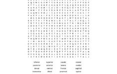 Greys Anatomy Word Search Wordmint Word Search Printable