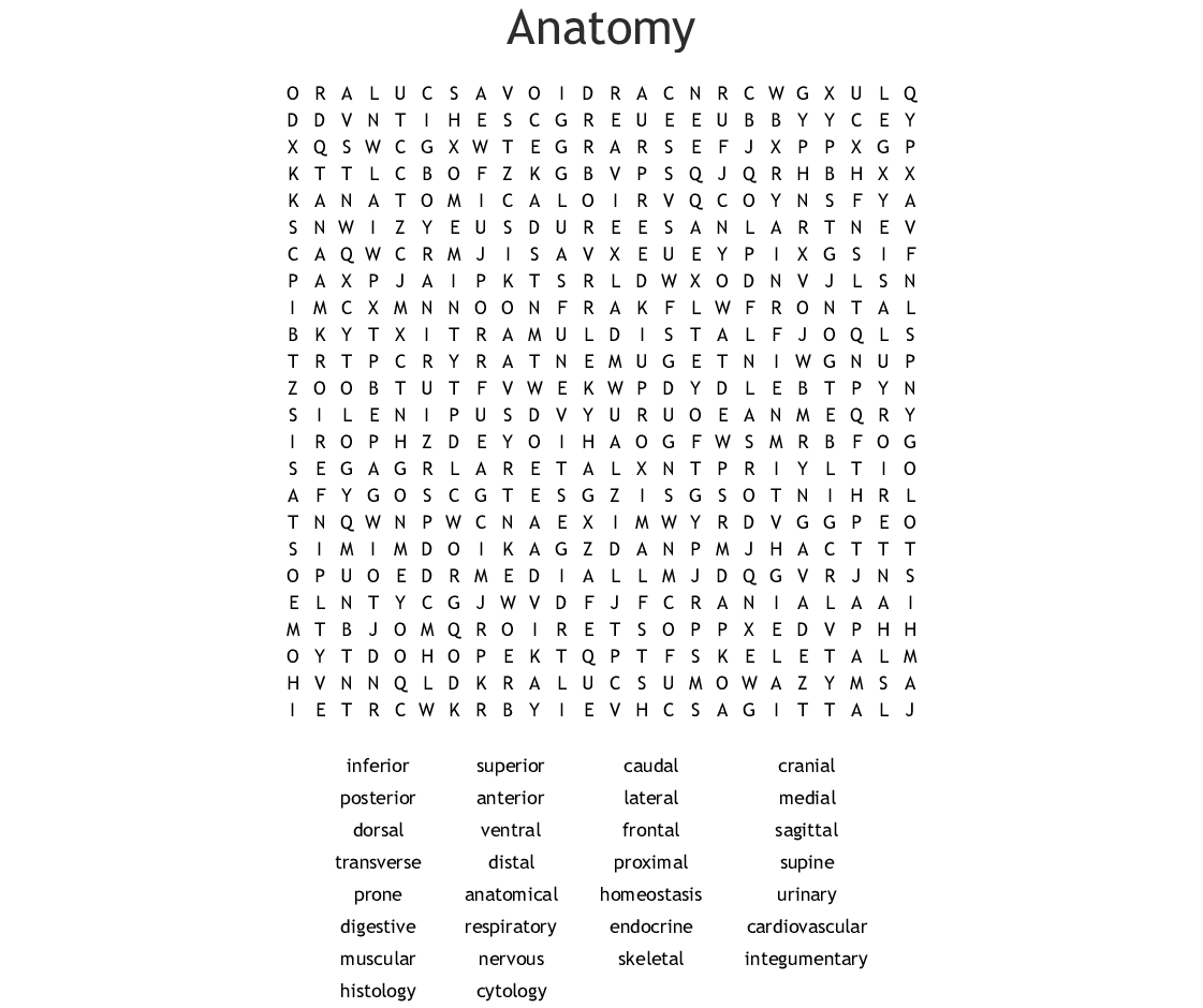 Greys Anatomy Word Search Wordmint Word Search Printable