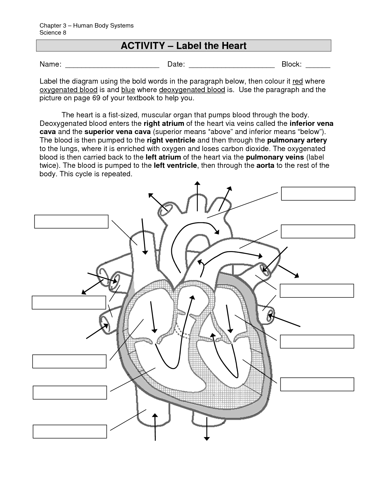 Heart Labeling Worksheet Davezan Structure Of The Heart Worksheet 