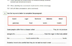Homeostasis Interactive Worksheet