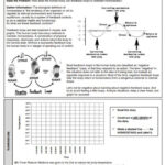 Homeostasis Worksheet High School Worksheet For Kindergarten