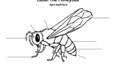Honeybee Labeling Page