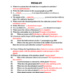 Hormones And The Endocrine System Worksheet Answers Worksheet List