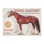 Horse Anatomy Second Edition Masterson Method