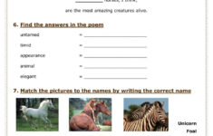 Horses Worksheet