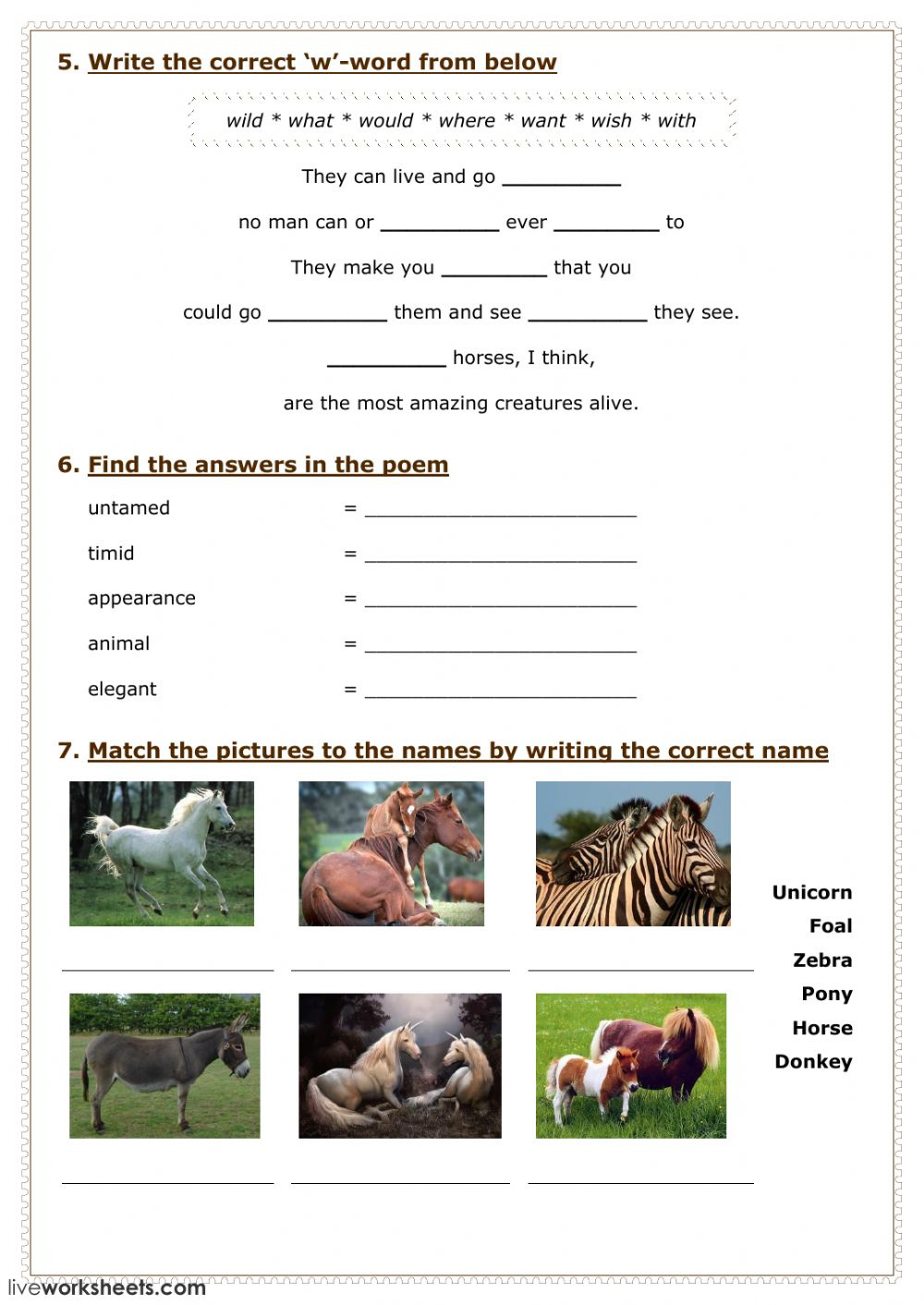 Horse Terms Worksheet For Kids Anatomy Worksheets