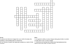 Human Anatomy And Physiology Crossword WordMint