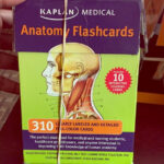 Human Anatomy Flash Cards Anatomy Flashcards Human Anatomy Flashcards