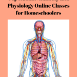 Human Anatomy Online High School Classes In 2020 Online High School