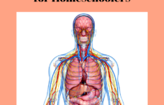 Human Anatomy Online High School Classes In 2020 Online High School