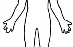 Human Body Diagram Blank ClipArt Best
