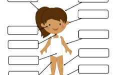 Human Body Part Worksheet