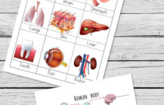 Human Body Printables For Kids Teaching Children Body Preschool