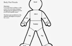 Human Body Puzzle For Preschool Preschool Crafts