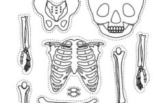 Human Body Systems For Kids Free Printables Homeschooling 123 Kids
