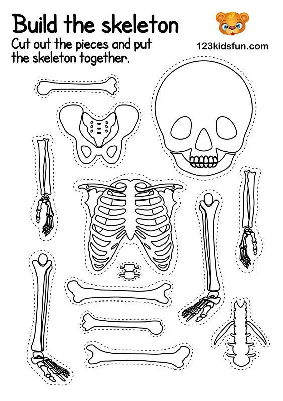 Human Body Systems For Kids Free Printables Homeschooling In 2020 
