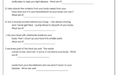 Human Body Worksheet With Answer Key Printable Pdf Download