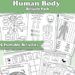 Human Body Worksheets Itsybitsyfun