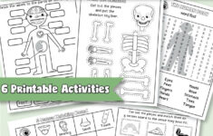 Human Body Worksheets Itsybitsyfun