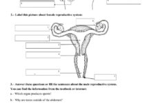 HUMAN REPRODUCTION Page 2 Worksheet