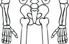 Human Skeleton Coloring Pages At GetColorings Free Printable