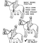 Illustrations Handouts Horse Lessons Horse Camp Riding Lessons