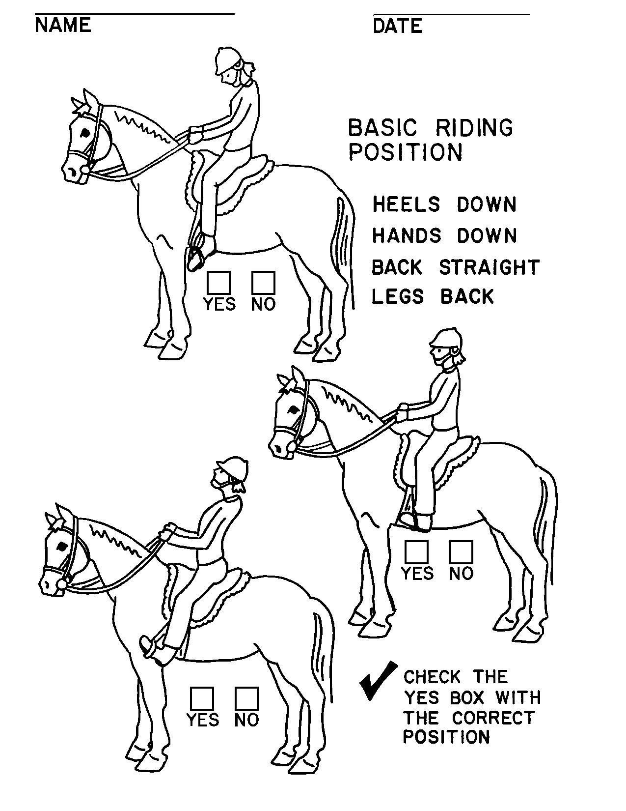 Illustrations Handouts Horse Lessons Horse Camp Riding Lessons