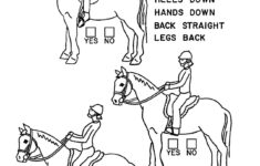 Illustrations Handouts Horse Lessons Horse Camp Riding Lessons