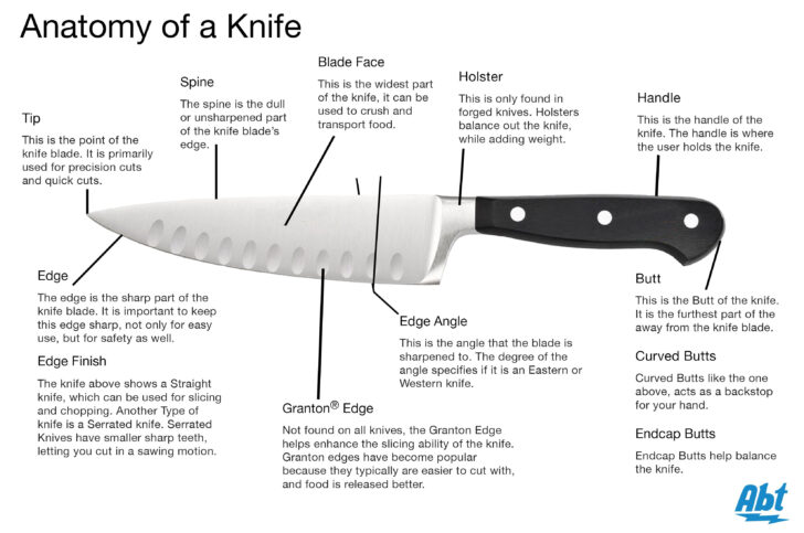Anatomy Of A Knife Worksheet