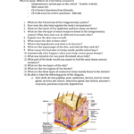 Integumentary System Test Review