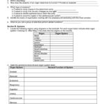 Introduction To Cells Worksheet Ivuyteq