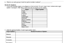 Introduction To Cells Worksheet Ivuyteq