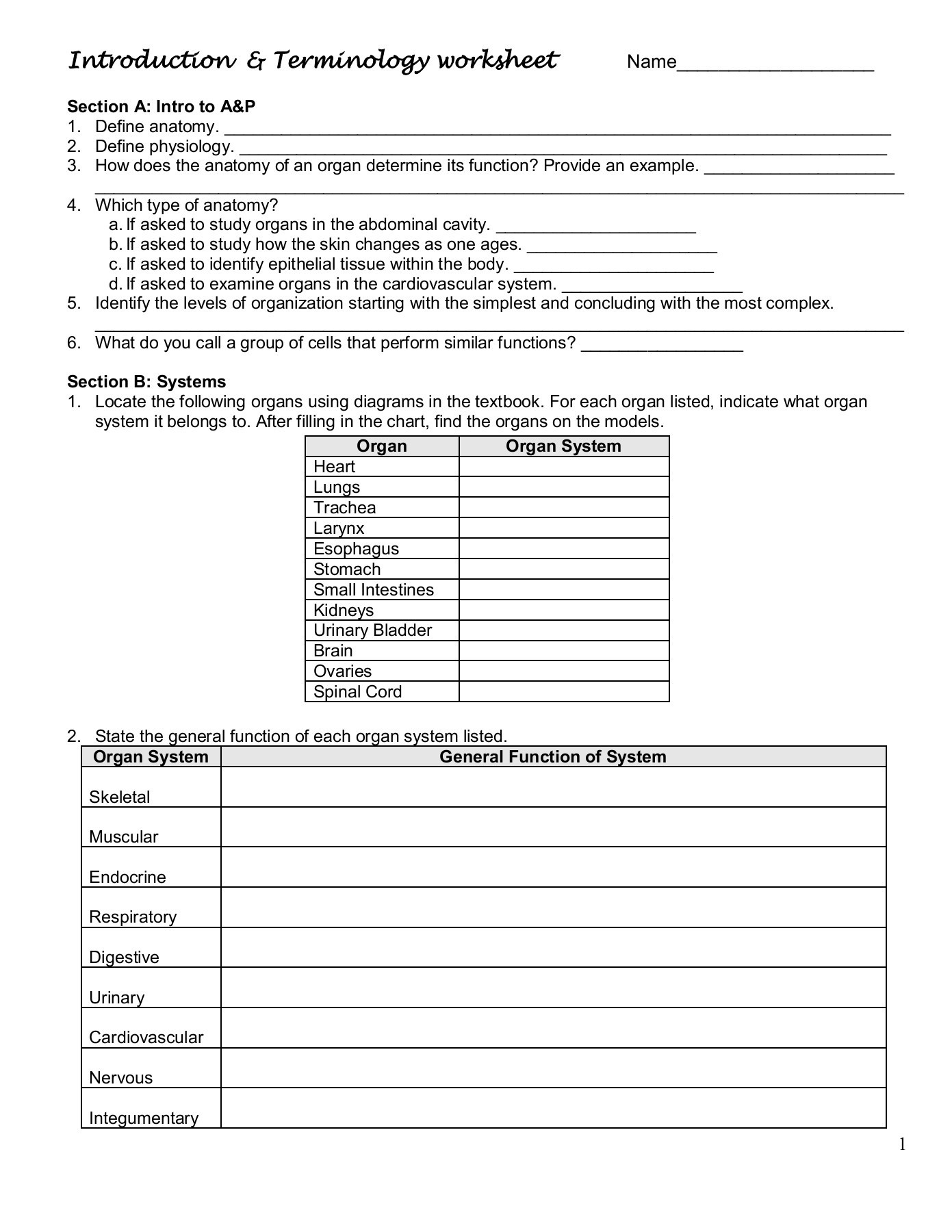 Introduction To Cells Worksheet Ivuyteq