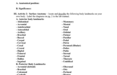 Lab 1 Anatomy Language