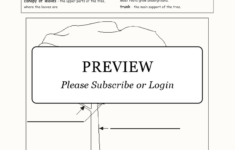 Label Tree Anatomy Enchanted Learning