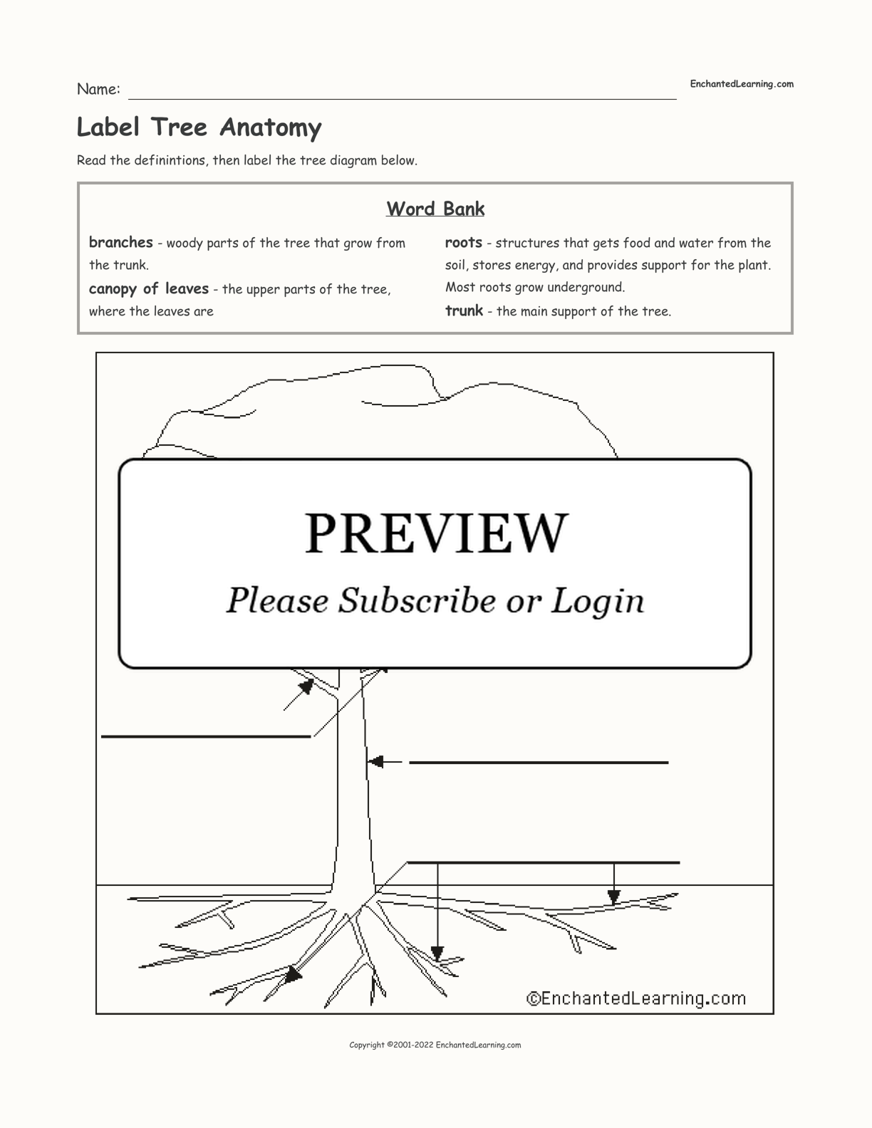 Label Tree Anatomy Enchanted Learning