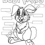 Lable The Parts Of The Bunny ESL Worksheet By Me Fig