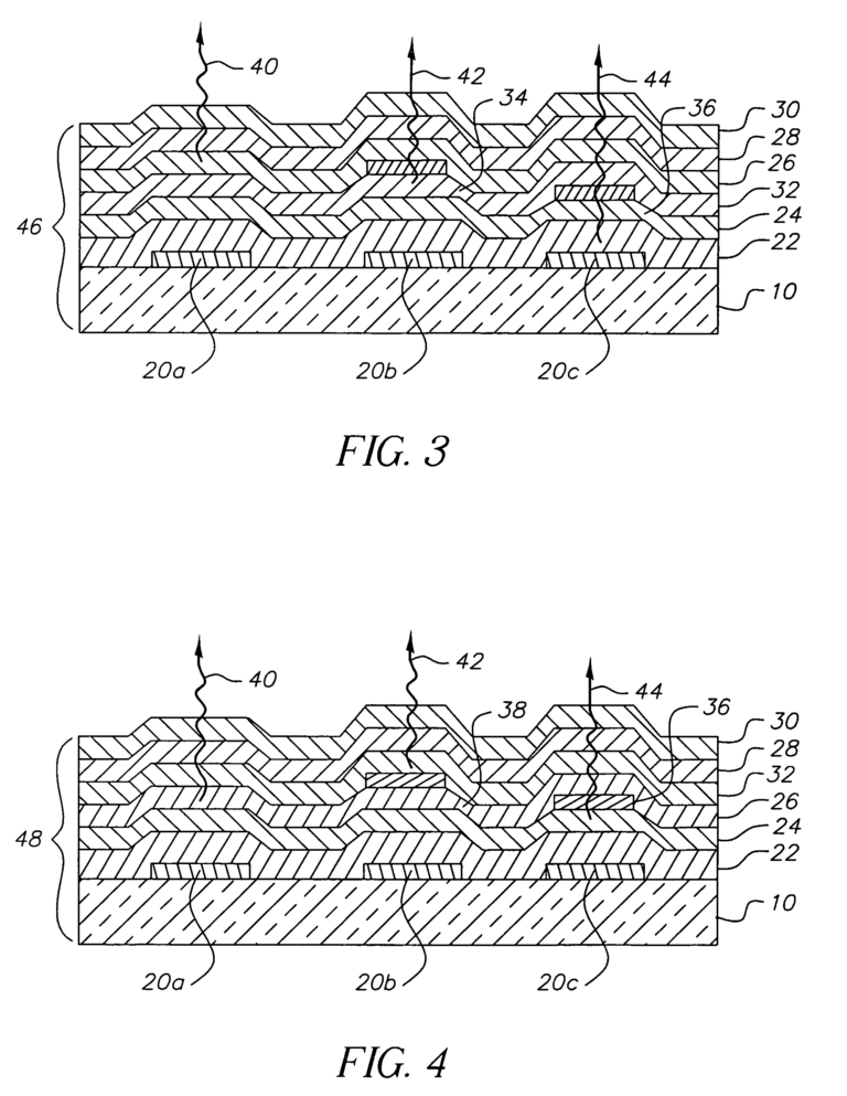 Leaf Anatomy Coloring Key Coloring Pages | Anatomy Worksheets